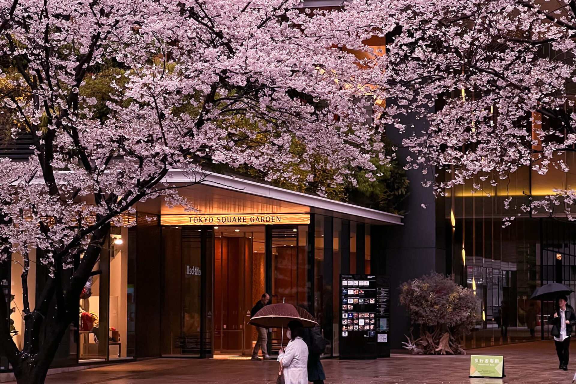 HANAMI EFEKAT ILI KAKO SE NISAM IZGUBIO U PREVODU PUTOVANJA 801EE640 3D14 4837 8D9D 804BF4A35F33 scaled uai