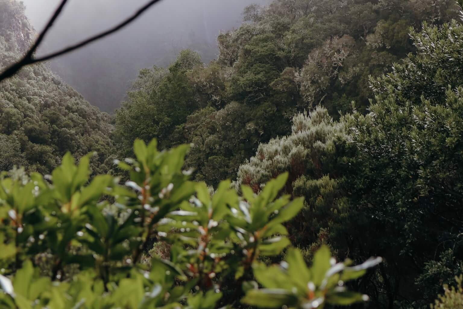MADEIRA: MOJA PRIČA KAKO POBEDITI PREGOREVANJE U ŽIVOTU PUTOVANJA IMG 7280 uai