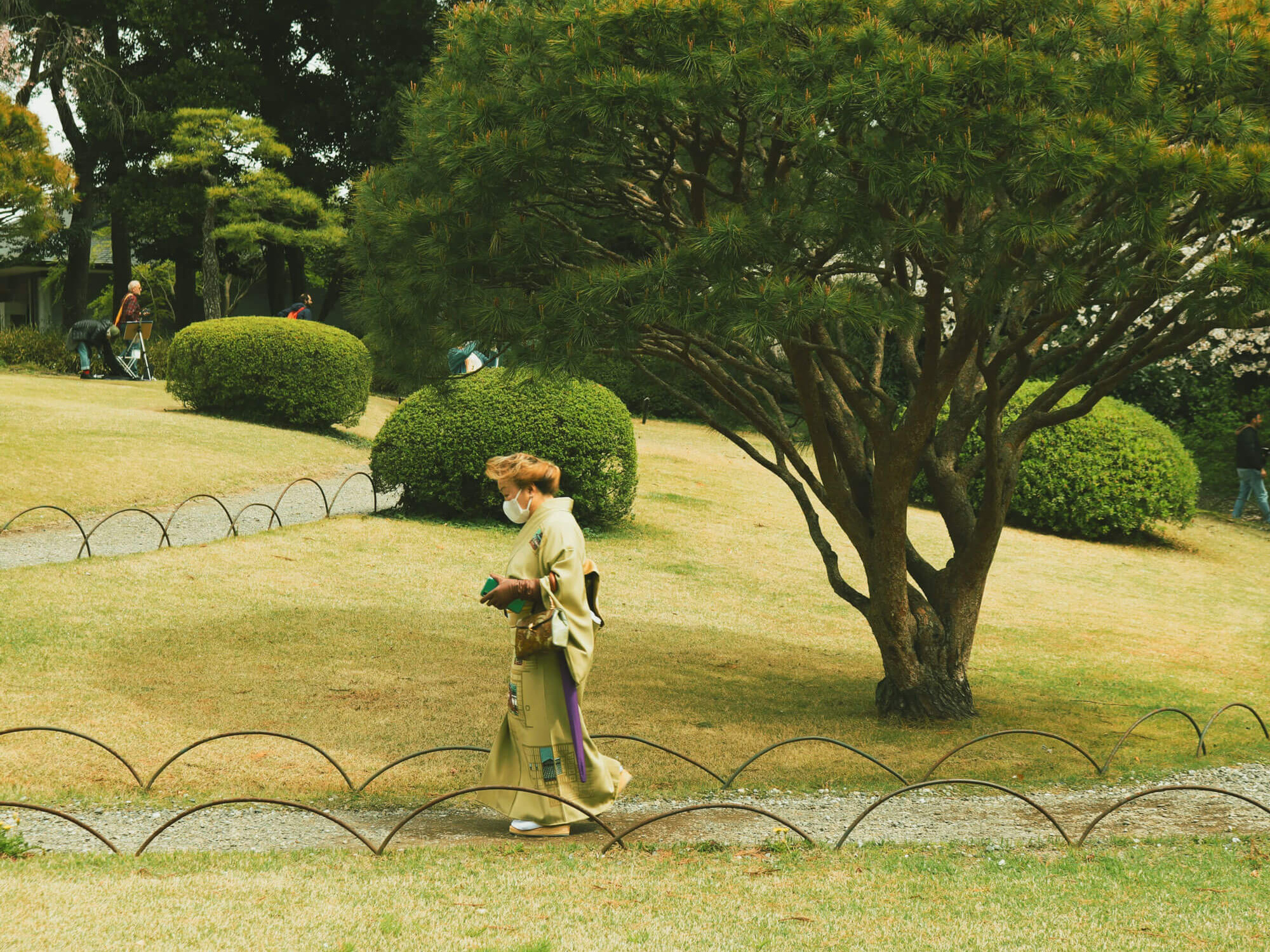 THE HANAMI EFFECT, OR HOW I DIDN’T GET LOST IN TRANSLATION TALKS japan tokyo uai